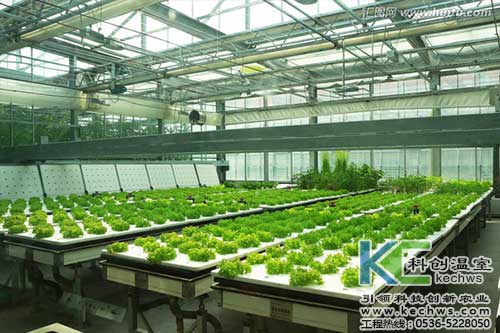 無土栽培，無土栽培技術，無土栽培設備