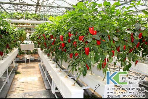 無土栽培，無土栽培技術，無土栽培設備