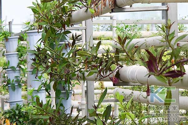 無(wú)土栽培，無(wú)土栽培技術(shù)，無(wú)土栽培設(shè)備