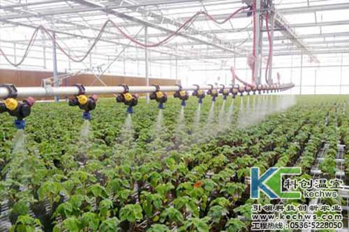 無土栽培，無土栽培技術，無土栽培設備