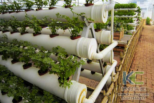 無土栽培，無土栽培技術，無土栽培設備