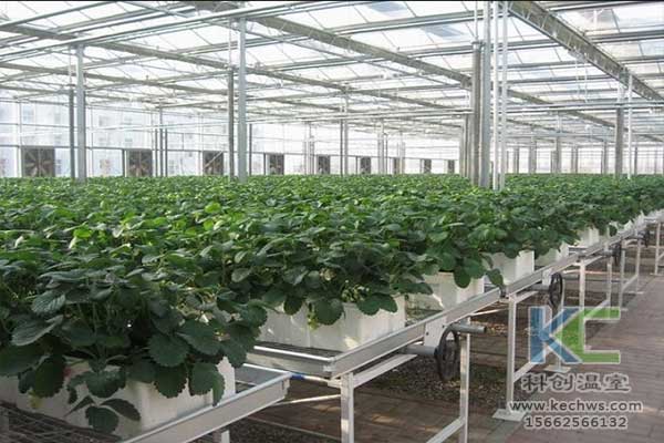 無土栽培，無土栽培技術，無土栽培設備