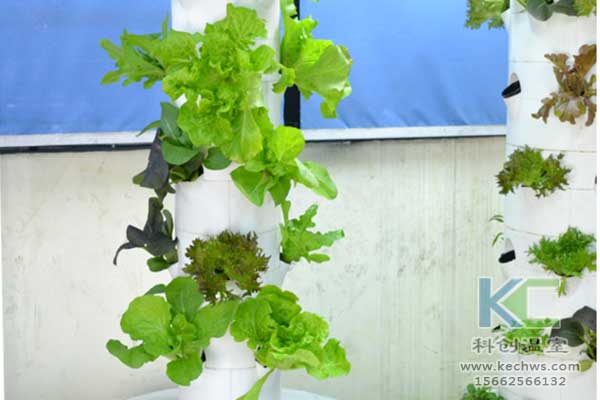 無土栽培，無土栽培技術，無土栽培設備