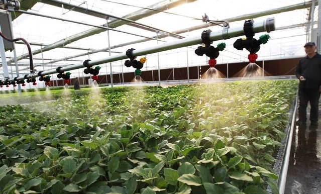 無土栽培，無土栽培技術，無土栽培設備