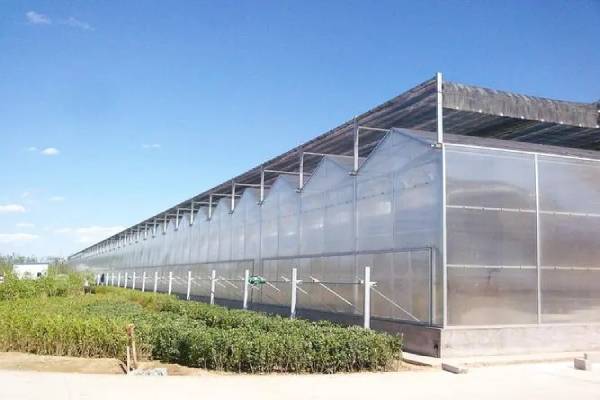 無土栽培，無土栽培技術，無土栽培設備