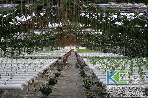 無土栽培，無土栽培技術(shù)，無土栽培設(shè)備