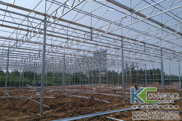 無(wú)土栽培，無(wú)土栽培技術(shù)，無(wú)土栽培設(shè)備