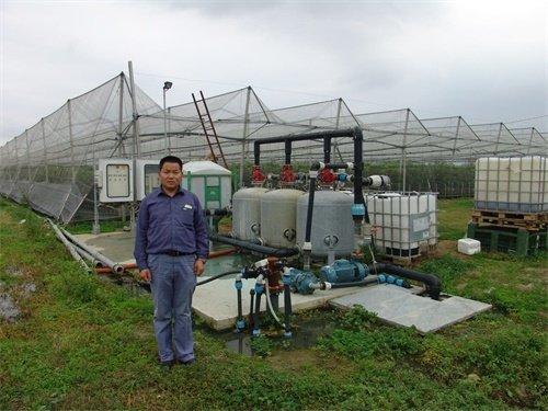 無土栽培，無土栽培技術，無土栽培設備