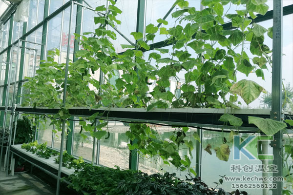 無土栽培技術，無土栽培設備，溫室大棚，無土栽培