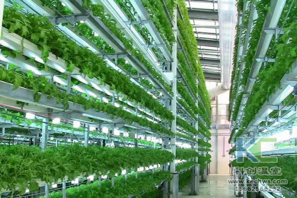 無土栽培技術，無土栽培設備，無土栽培，溫室大棚