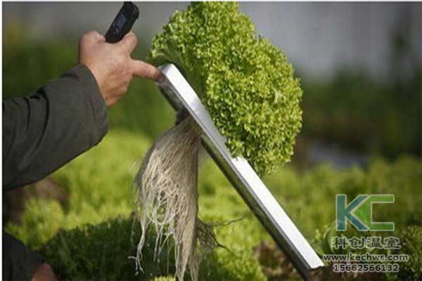 無土栽培，無土栽培技術，無土栽培基質