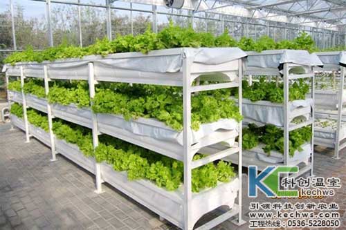 無土栽培，無土栽培技術(shù)，無土栽培設備