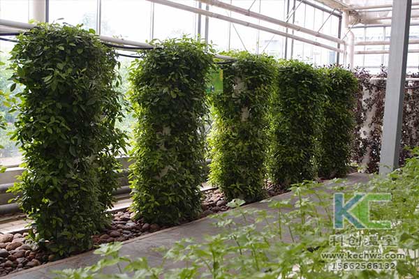 無土栽培，無土栽培技術，無土栽培設備