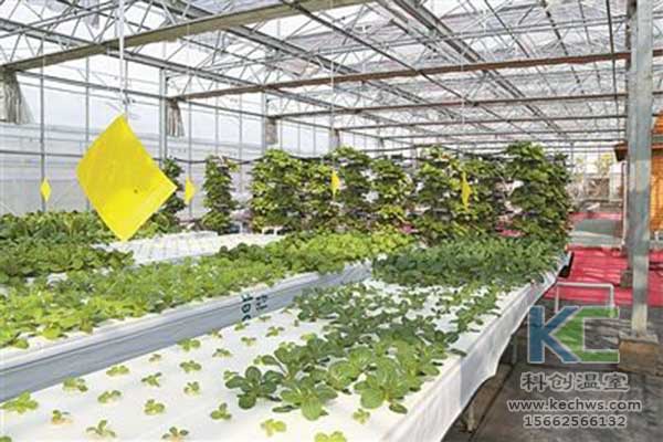 無土栽培，無土栽培技術，無土栽培設備