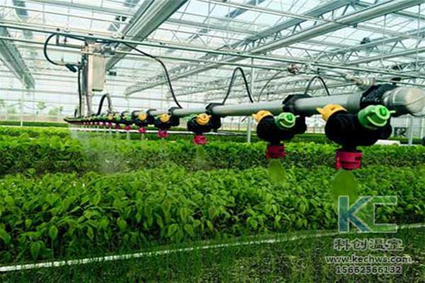 無土栽培，無土栽培技術，無土栽培設備