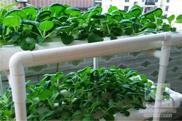 無土栽培，無土栽培技術