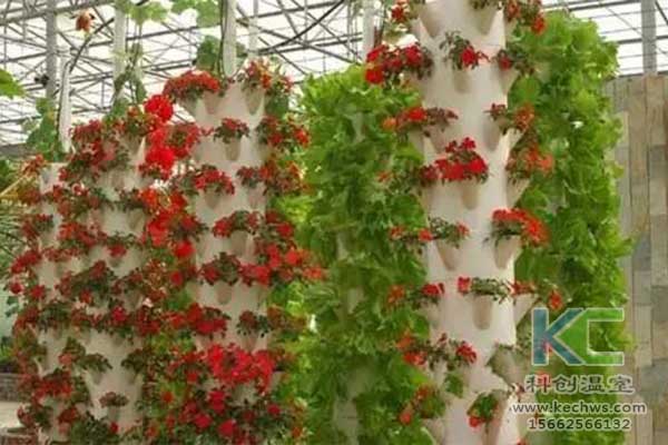 無土栽培，無土栽培技術(shù)，無土栽培設(shè)備