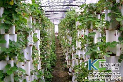 無土栽培，無土栽培技術，無土栽培設備