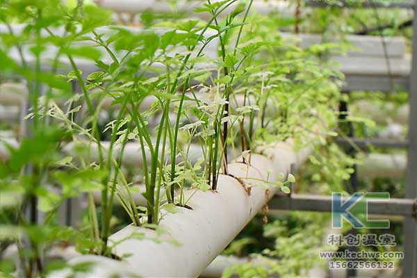 無土栽培，無土栽培技術，無土栽培設備