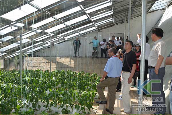 無(wú)土栽培，無(wú)土栽培技術(shù)，無(wú)土栽培設(shè)備