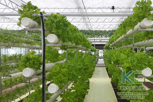 無土栽培，無土栽培技術，無土栽培設備