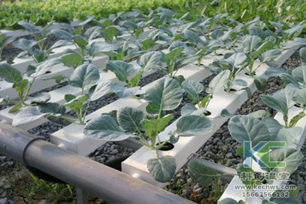 無土栽培，無土栽培技術，無土栽培設備