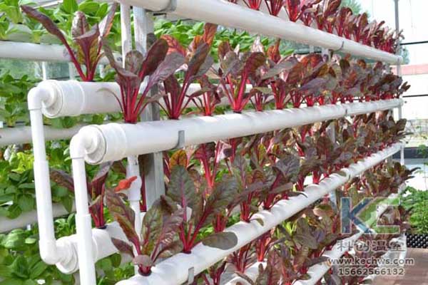 無土栽培，無土栽培技術，無土栽培設備