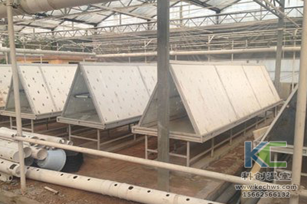 有機(jī)蔬菜栽培，無土栽培技術(shù)，無土栽培，溫室大棚