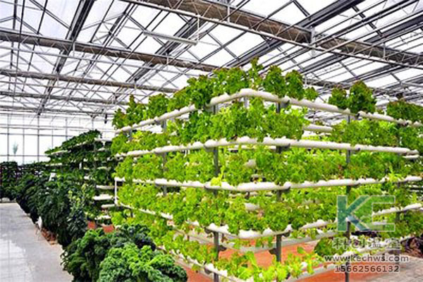無土栽培，無土栽培技術(shù)，溫室大棚，無土栽培蔬菜
