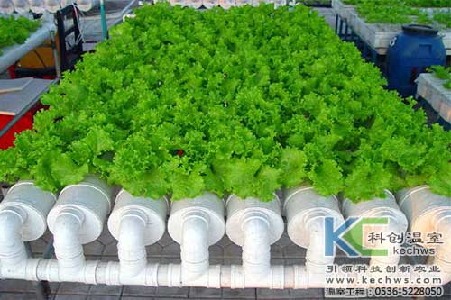 無土栽培，無土栽培技術(shù)，無土栽培設(shè)備