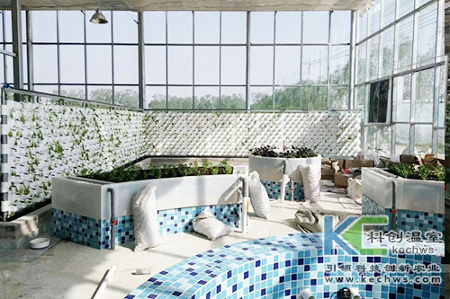 無土栽培,基質栽培,水培