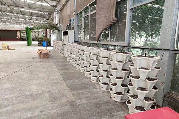 無(wú)土栽培，無(wú)土栽培技術(shù)，無(wú)土栽培設(shè)備