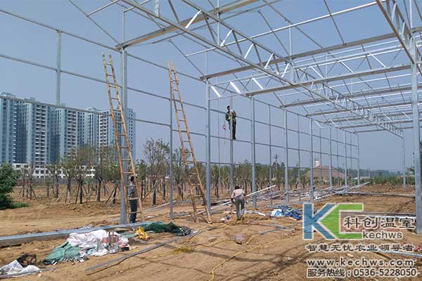 無(wú)土栽培，無(wú)土栽培技術(shù)，無(wú)土栽培設(shè)備