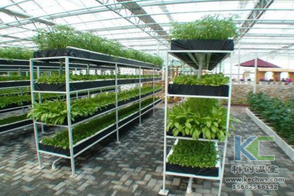 有機(jī)蔬菜栽培，無土栽培技術(shù)，無土栽培，溫室大棚