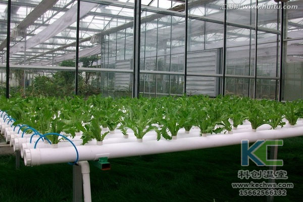 無土栽培，無土栽培技術，無土栽培設備