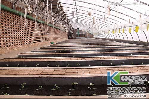 無(wú)土栽培，無(wú)土栽培技術(shù)，無(wú)土栽培設(shè)備