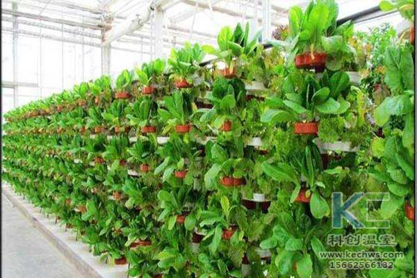 無土栽培，無土栽培技術，無土栽培設備