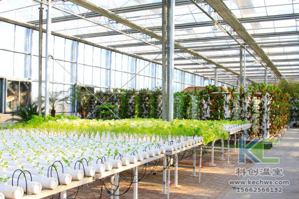 無土栽培，無土栽培技術，無土栽培設備