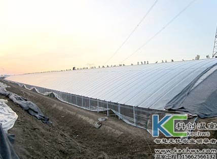 無土栽培，無土栽培技術(shù)，無土栽培設(shè)備