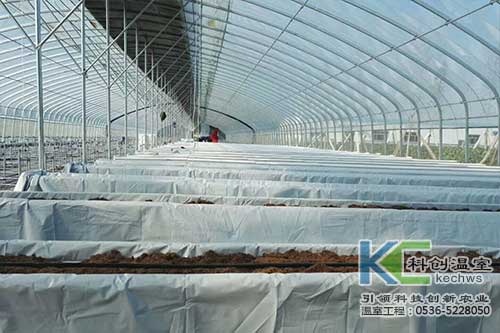 無土栽培，無土栽培技術，無土栽培設備