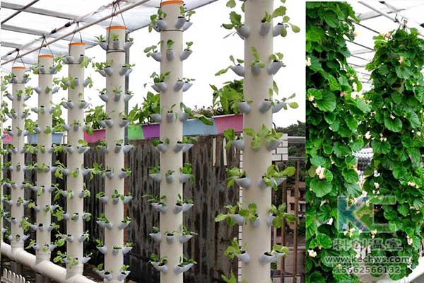 無(wú)土栽培，無(wú)土栽培技術(shù)，無(wú)土栽培設(shè)備