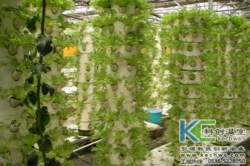 無土栽培，無土栽培技術，無土栽培設備