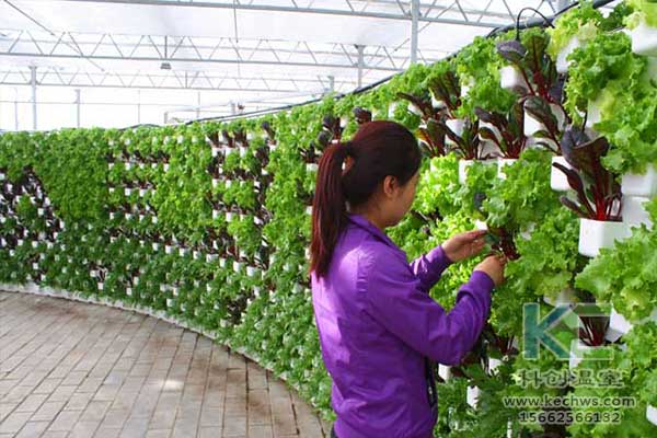 無土栽培，無土栽培技術(shù)，無土栽培設(shè)備