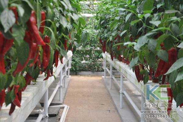 無土栽培，無土栽培技術，無土栽培設備