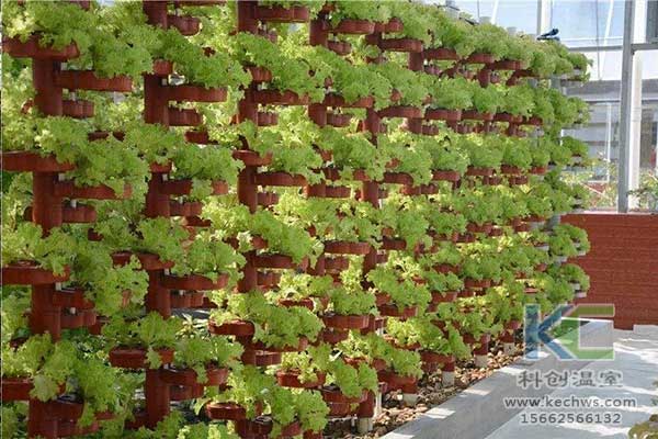 無土栽培，無土栽培技術，無土栽培設備