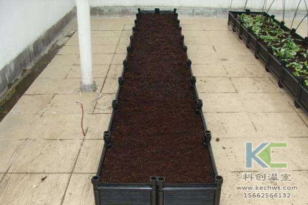 無土栽培，無土栽培技術，無土栽培設備