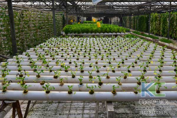 無土栽培，無土栽培技術，無土栽培設備
