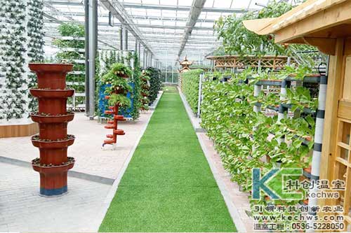 無土栽培，無土栽培案例