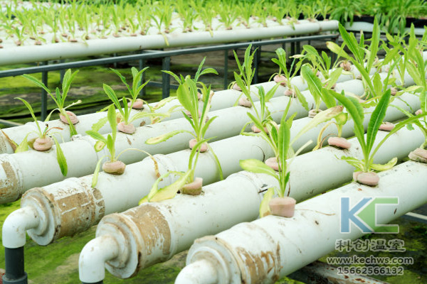 無土栽培，無土栽培技術，無土栽培設備