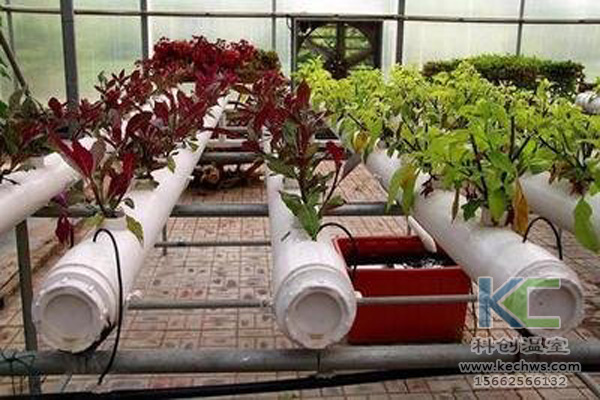 無土栽培，無土栽培技術，無土栽培設備